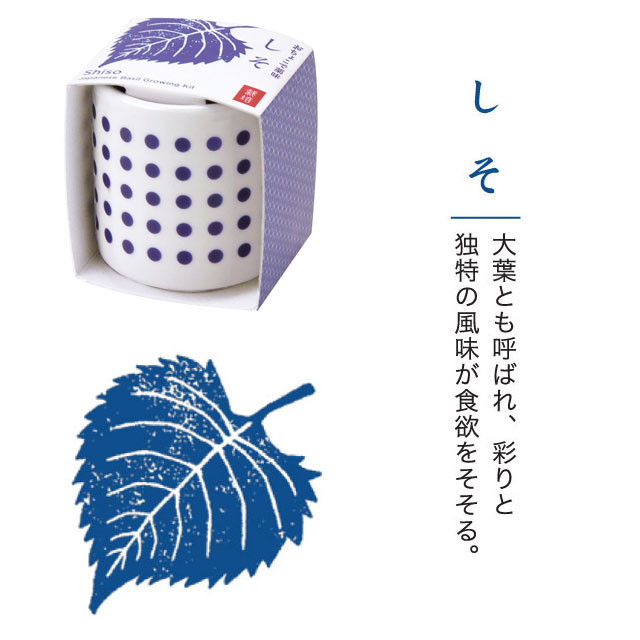 楽天市場 栽培キット おちょこで 薬味 栽培 セット 白磁 しそ 唐辛子 わさび菜 三つ葉 即納 栽培セット 種 野菜 とうがらし わさび みつ葉 かわいい おしゃれ ギフト グリーン インテリア 置物 グッズ 癒しグッズ専門店 なごみ 楽天市場 栽培キット おちょこで 薬味 栽培 セット 白磁 しそ 唐辛子 わさび菜 三つ葉 即納 栽培セット 種 野菜 とうがらし わさび みつ葉 かわいい おしゃれ ギフト グリーン インテリア 置物 グッズ 癒しグッズ専門店 なごみ