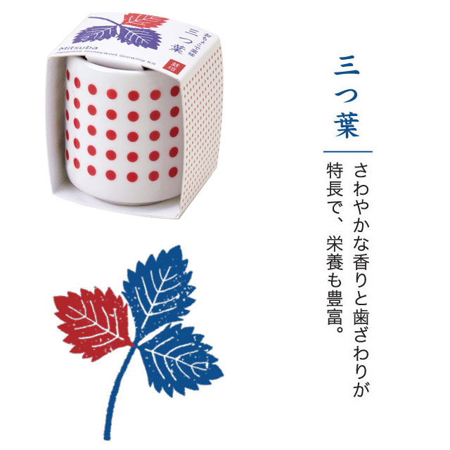 楽天市場 栽培キット おちょこで 薬味 栽培 セット 白磁 しそ 唐辛子 わさび菜 三つ葉 即納 栽培セット 種 野菜 とうがらし わさび みつ葉 かわいい おしゃれ ギフト グリーン インテリア 置物 グッズ 癒しグッズ専門店 なごみ 楽天市場 栽培キット おちょこで 薬味 栽培 セット 白磁 しそ 唐辛子 わさび菜 三つ葉 即納 栽培セット 種 野菜 とうがらし わさび みつ葉 かわいい おしゃれ ギフト グリーン インテリア 置物 グッズ 癒しグッズ専門店 なごみ