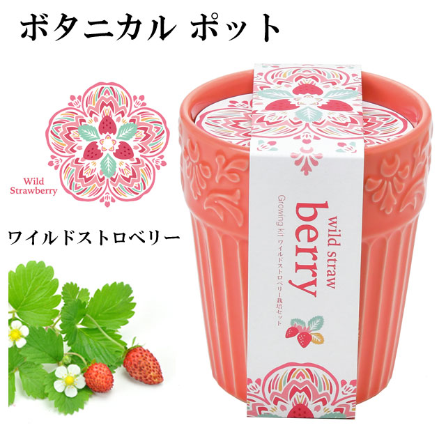 楽天市場 栽培キット Botanical Pot ボタニカル ポット 栽培セット ワイルドストロベリー ミニヒマワリ 四つ葉のクローバー 植物 グリーン ハーブ 向日葵 ヒマワリ インテリア かわいい オシャレ 置物 グッズ 癒しグッズ専門店 なごみ