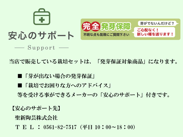 楽天市場 栽培キット おうちで 根菜栽培 だいこん にんじん ごぼう 即納 栽培セット 種 野菜 大根 人参 ダイコン ニンジン ゴボウ かわいい おしゃれ ギフト グリーン インテリア 置物 グッズ 癒しグッズ専門店 なごみ