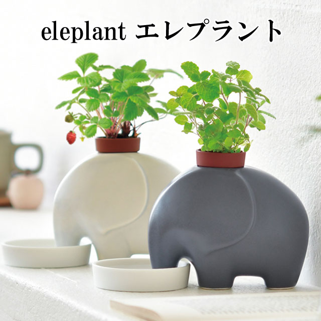 楽天市場】栽培キット Botanical Pot ボタニカル ポット 栽培セット ワイルドストロベリー ミニヒマワリ 四つ葉のクローバー 植物  グリーン ハーブ 向日葵 ヒマワリ インテリア かわいい オシャレ 置物 グッズ : 癒しグッズ専門店 なごみ