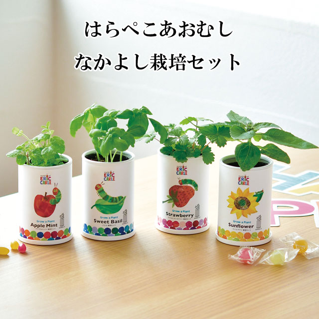 楽天市場】【お買い物マラソンクーポン】栽培キット はら