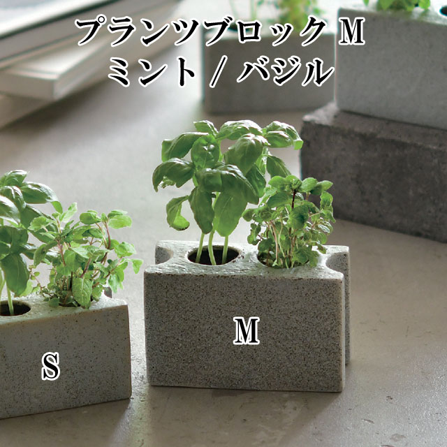 楽天市場】栽培キット プランツブロック S ミント / バジル 栽培