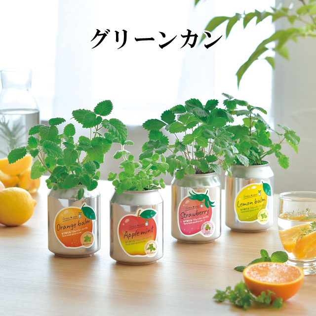 スーパープロテイン 4個セット(レモン&amp;グリーンアップル) スーパープロテイン （スーパープロテイン 4個セット(レモン