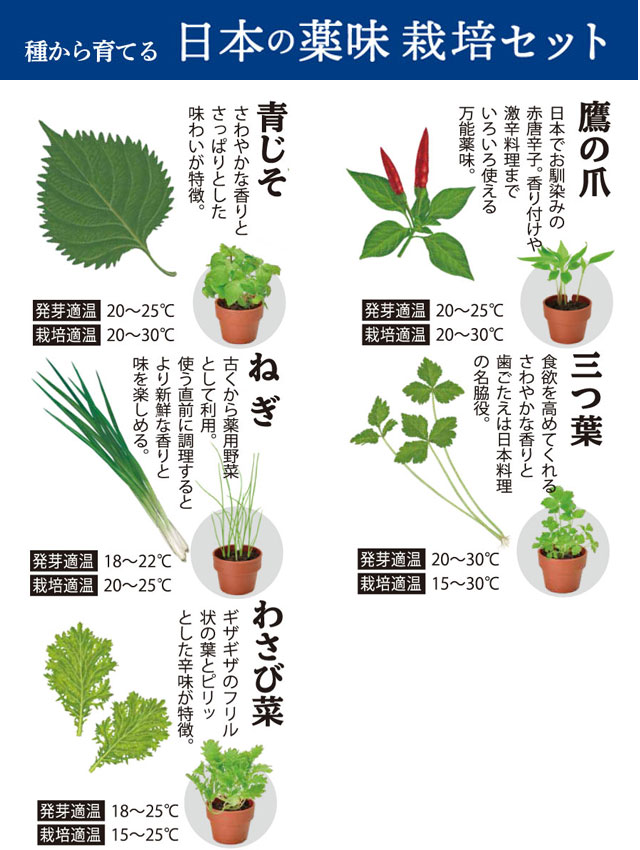 栽培キット 育てるカプセル 三つ葉 薬味 栽培セット 青じそ 鷹の爪 植物 即納 グリーン ねぎ