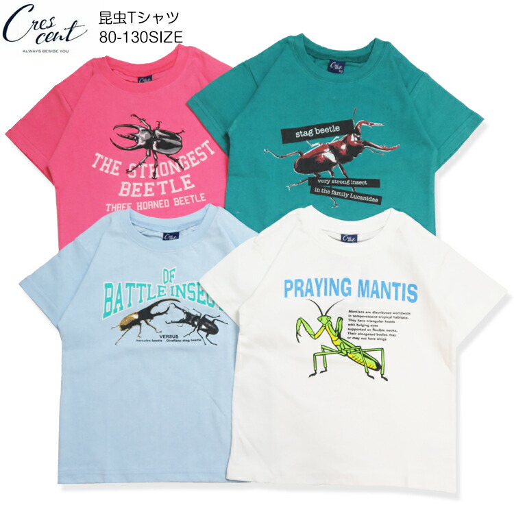 昆虫の線画スタンドカラートップス