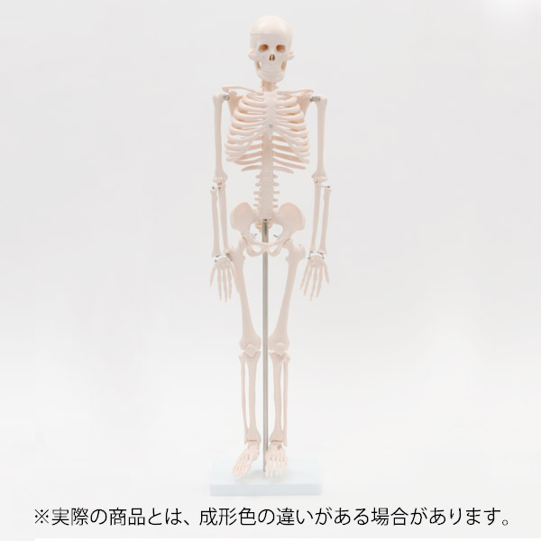 西洋手ぬぐい