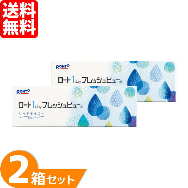 【送料無料】 ロート ワンデーフレッシュビューリッチモイスト 2箱セット (1箱30枚) ロート 1日使い捨て コンタクトレンズ ワンデー コンタクト Rohto