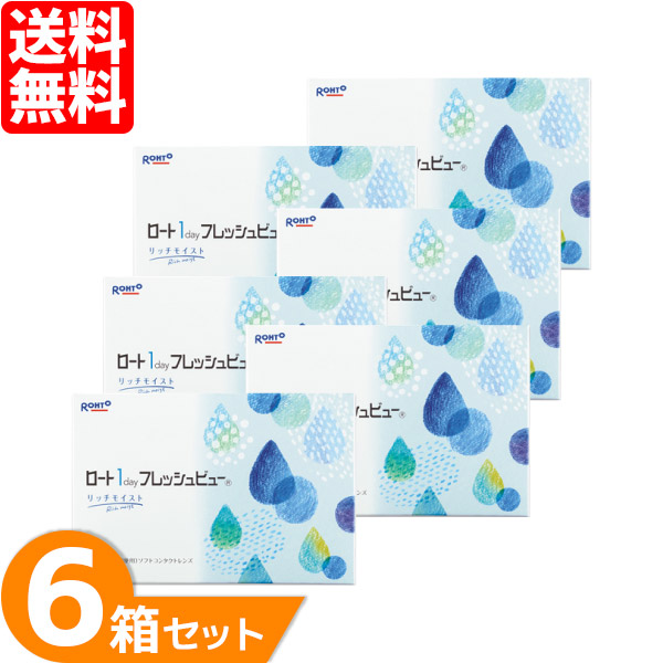 【送料無料】 ロート ワンデーフレッシュビューリッチモイスト 6箱セット (1箱90枚) ロート 1日使い捨て コンタクトレンズ ワンデー コンタクト Rohto 21,293円