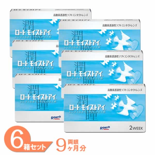 【最大1000円OFFクーポン＆エントリーでP5倍】【送料無料】 ロートモイストアイ 6箱セット (1箱6枚) ロート コンタクトレンズ 2week 2週間交換 コンタクト 2ウィーク Rohto 近視用｜7lens