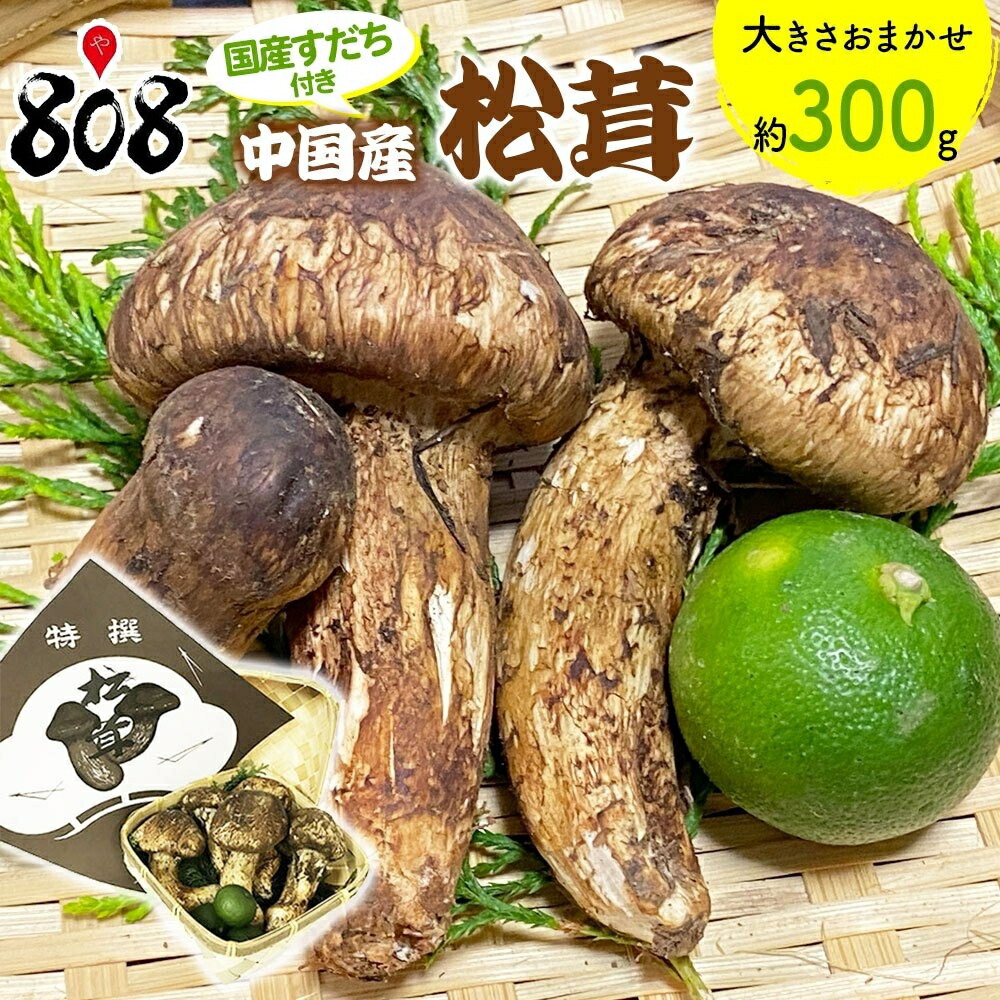 【楽天市場】【送料無料】【中国産】松茸 専用カゴ入り 国産すだち付き 大きさおまかせ 約500g(北海道沖縄別途送料加算) : 808青果店