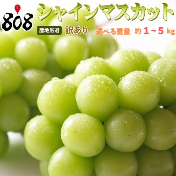 シャインマスカット５キロ初物❗️ 楽天市場】【長野県産】シャインマスカット 5キロ (7〜10房入り