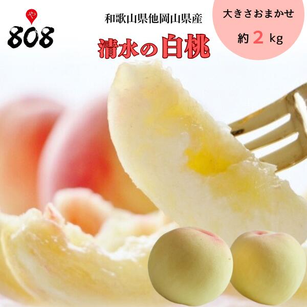 【贈答用】和歌山県産 減農薬白桃 4kg日川白鳳(白桃)｜自然栽培｜産地直送 ご家庭用】和歌山県産 減農薬白桃 4kg日川白鳳(白桃)｜自然栽培