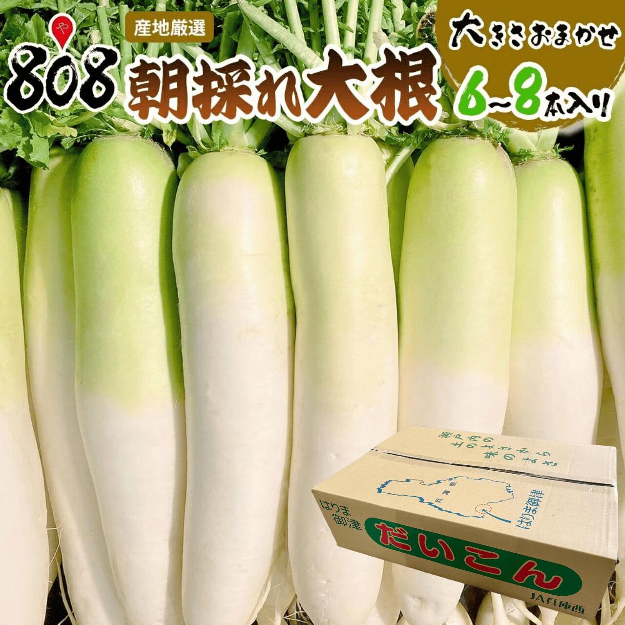 楽天市場】【送料無料】【産地厳選】朝採れ大根 大きさおまかせ 1箱 6 
