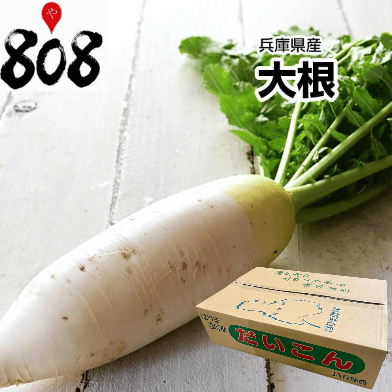 楽天市場】【国産】大根 10kg 10入れ Lサイズ 送料無料 だいこん