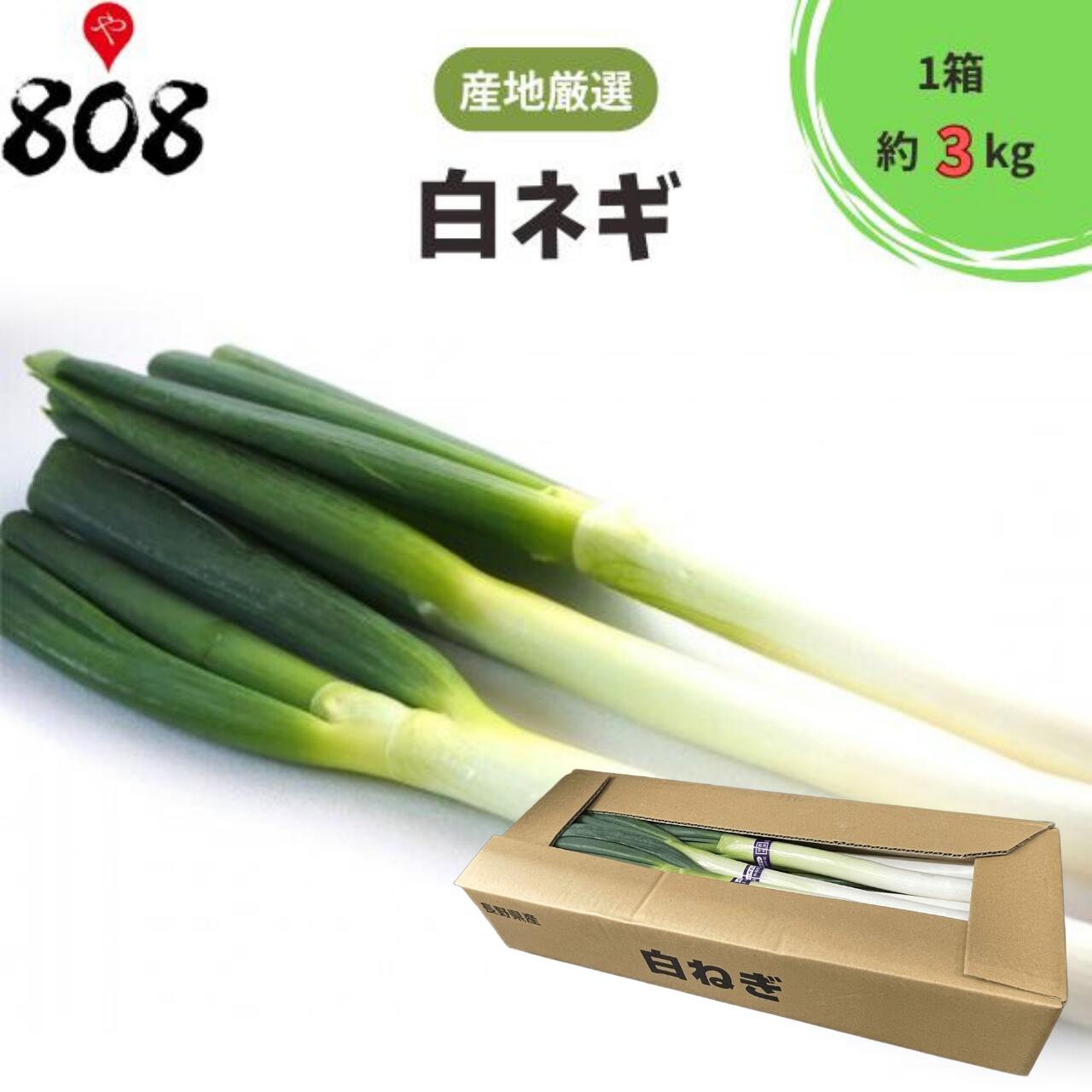 ネギ 楽天市場】【送料無料】品種おまかせ泥ネギ5kg 国産 みーちゃんネギ