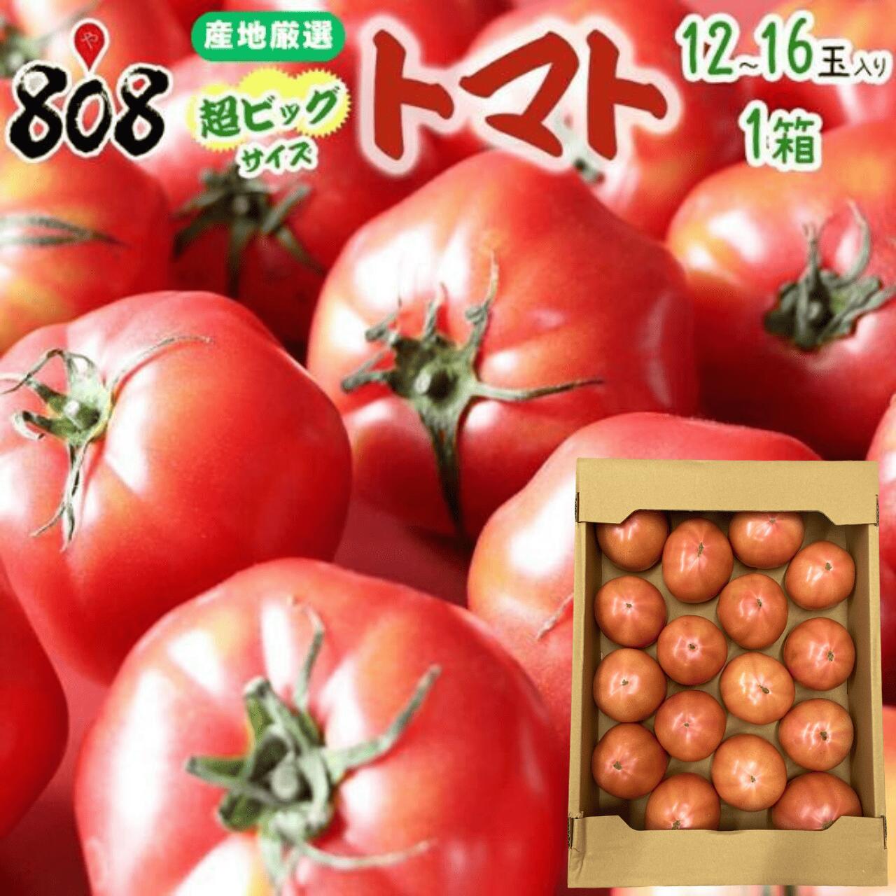 楽天市場】【送料無料】【産地厳選】超ビッグサイズ トマト 1箱 12〜16