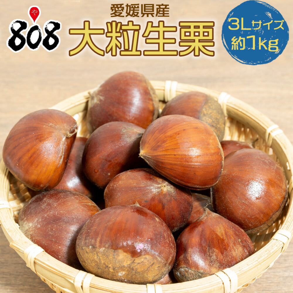 ★完売致しました！★無農薬 熊本県球磨郡産 生栗 ☆完売致しました！☆無農薬 熊本県球磨郡産 生栗