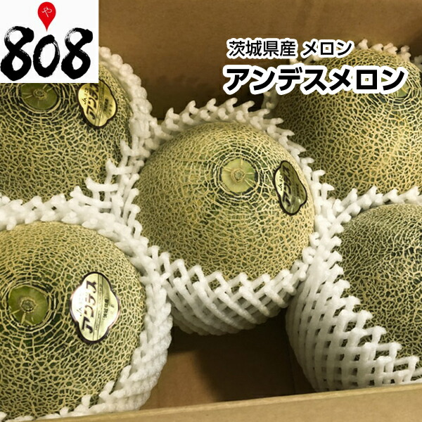 楽天市場 メロン 茨城 メロディーグリーン 大 1玉 約1 4kg お中元 御中元 ギフト 深作農園 いちご バームクーヘン 深作農園