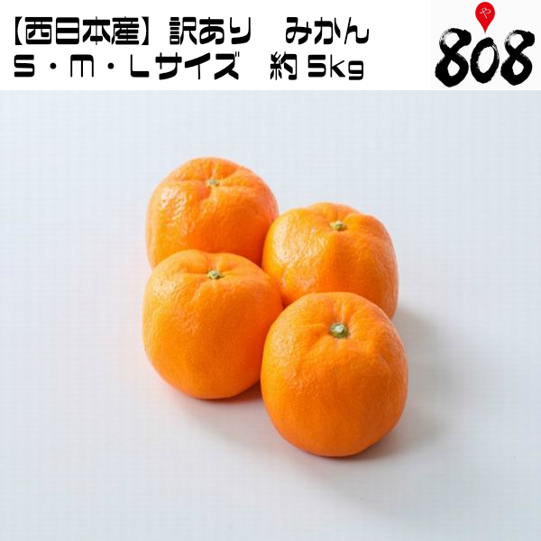 楽天市場 送料無料 西日本産 訳あり みかん ｓ ｍ ｌサイズ 約5kg 北海道沖縄別途送料加算 ミカン 蜜柑 ジュース 訳有 訳あり 訳アリ ワケあり ミカン 蜜柑 激甘 絶品 フルーツ 果物 柑橘 スムージー 高糖度 808青果店