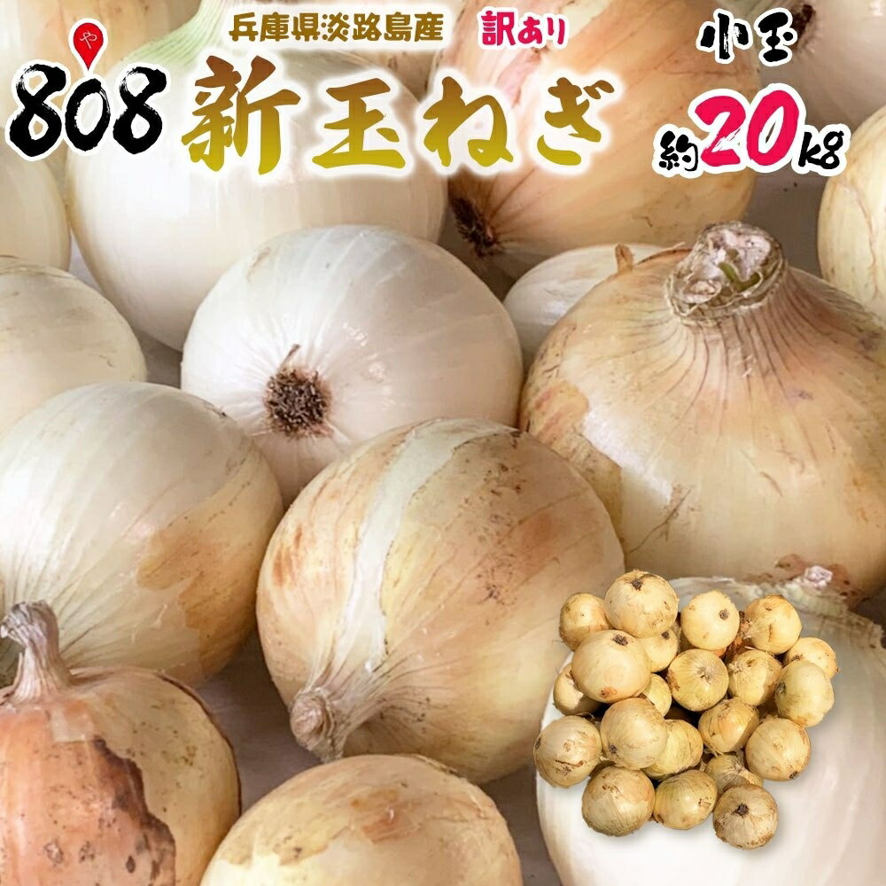 れんれん様用＜誕生日感謝＞淡路島産 新玉ねぎ 浜笑10kg×2箱 高糖度 新たま compass1656054736.jpg