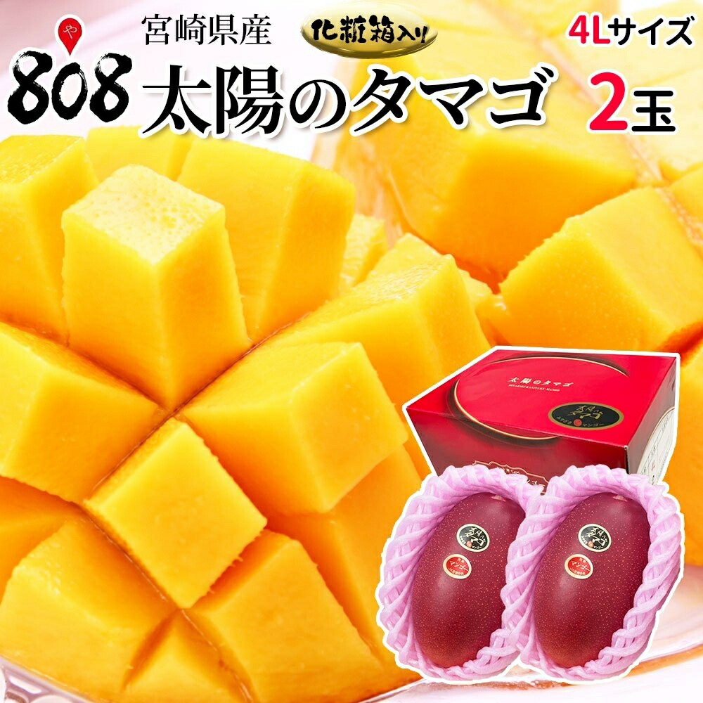 【送料無料】【宮崎県産】太陽のタマゴ 化粧箱入 4Lサイズ2玉（510g～649g×2玉）(北海道沖縄別途送料加算)