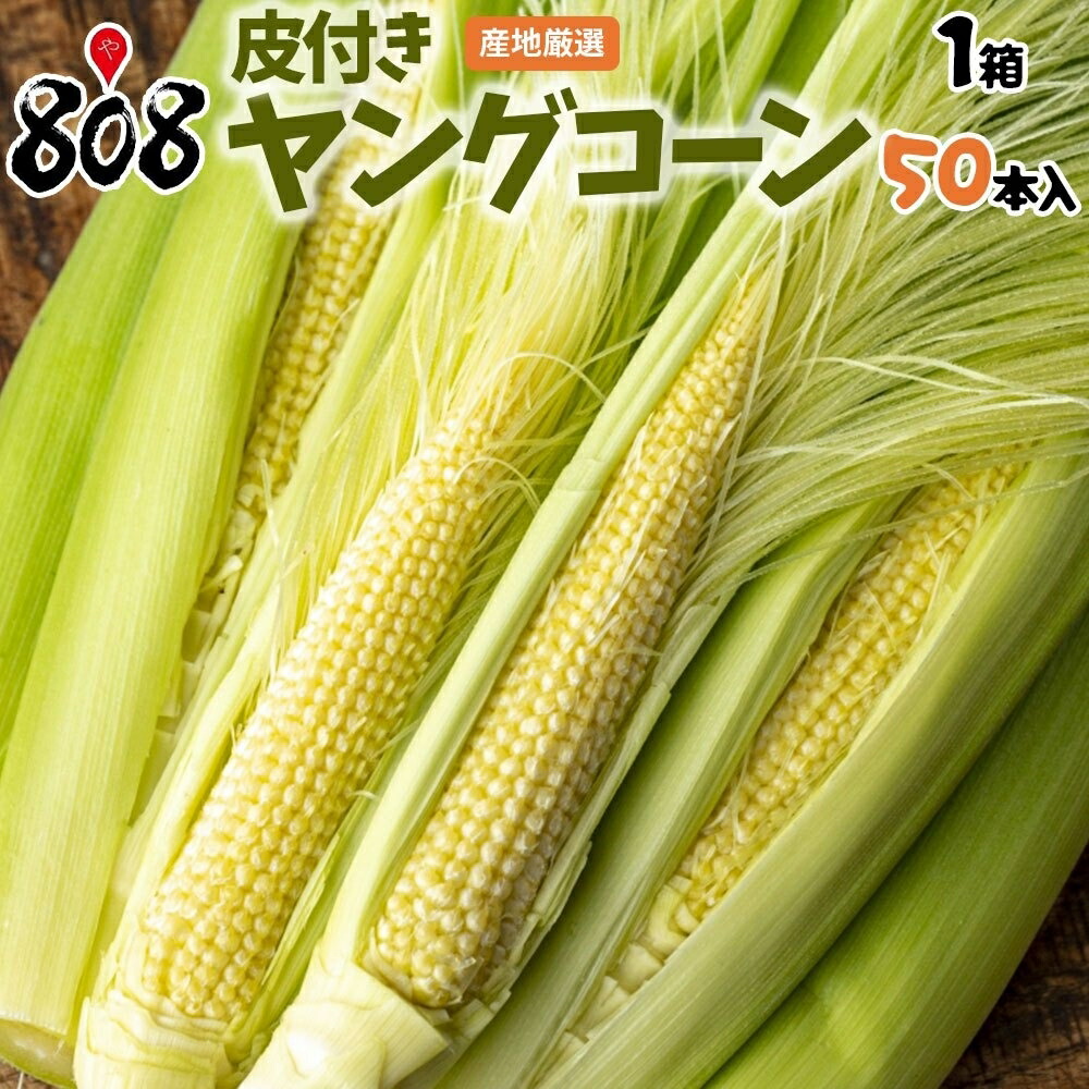 楽天市場】【7月31日のご注文まで】ヤングコーン 皮付き 生