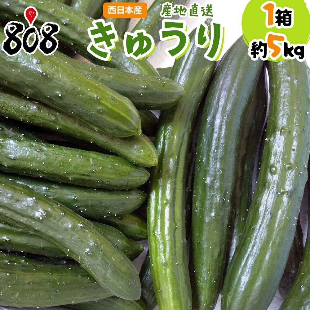 ファームさん きゅうり B級品 20キロ 楽天市場】【予約中】【B品・新鮮訳ありきゅうり（3kg×1箱