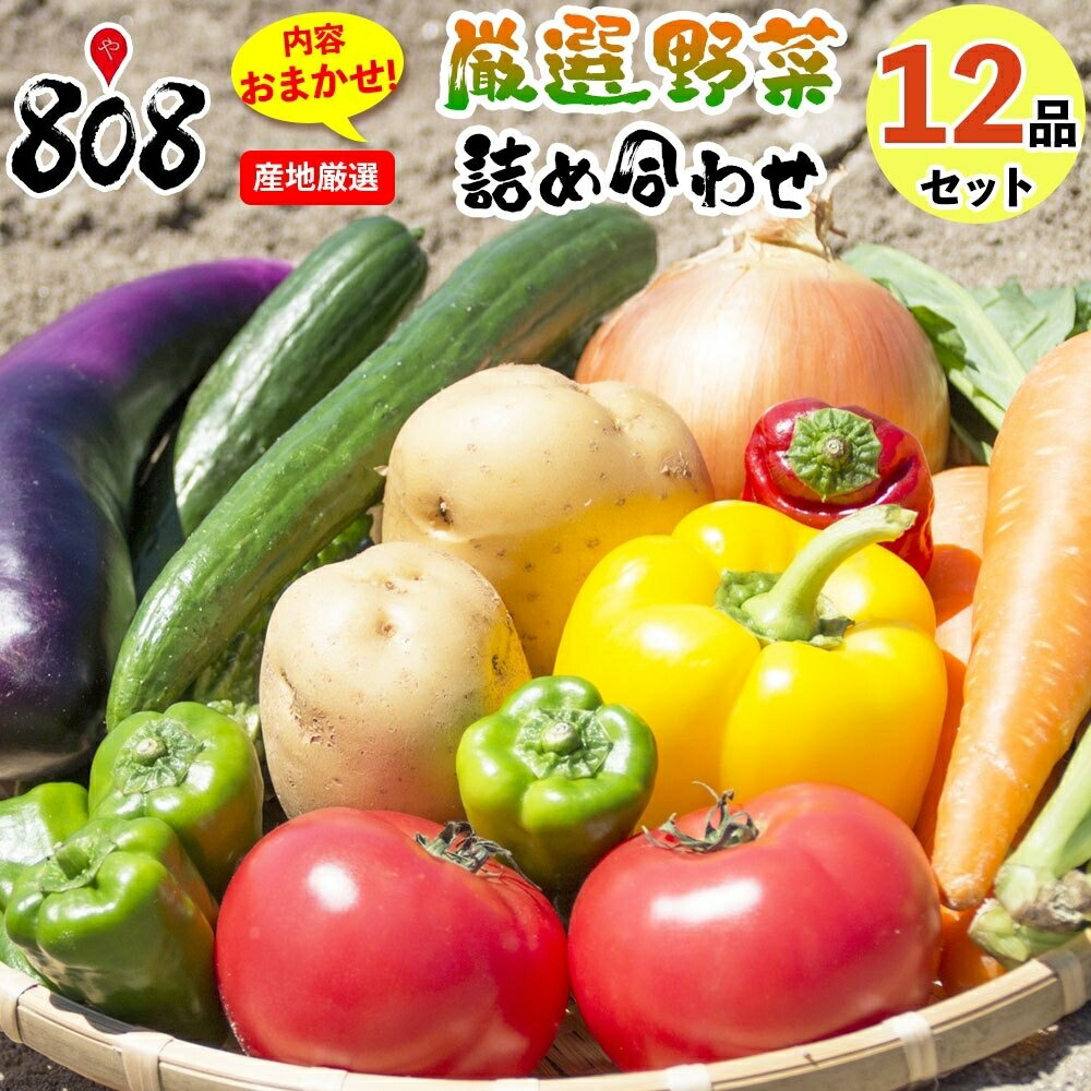 【送料無料】【産地厳選】808厳選　野菜詰め合わせセット　12品【単品商品同梱可能】(北海道沖縄別途送料加算)