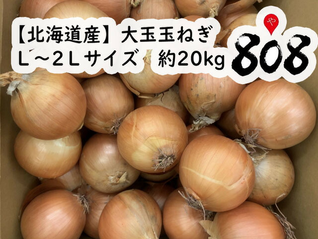 ふるさと割 限定1つ 訳あり玉ねぎSサイズのみ 20kg 徳島県産 野菜