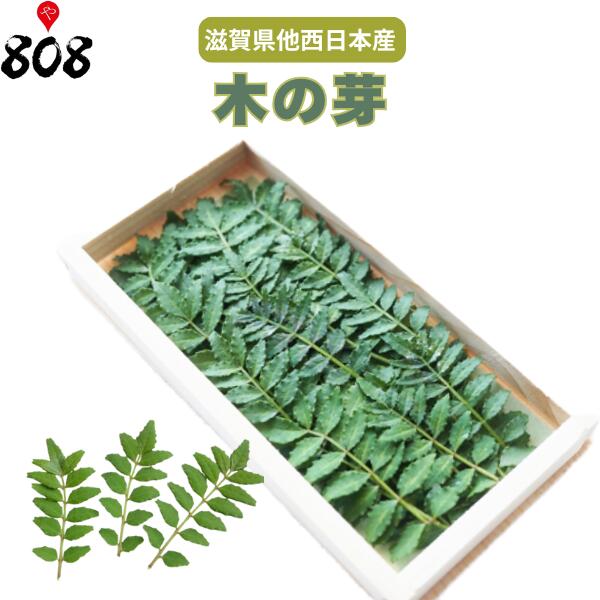 楽天市場】木の芽（きのめ・山椒の葉） 1パック 国産 : 大津留青果