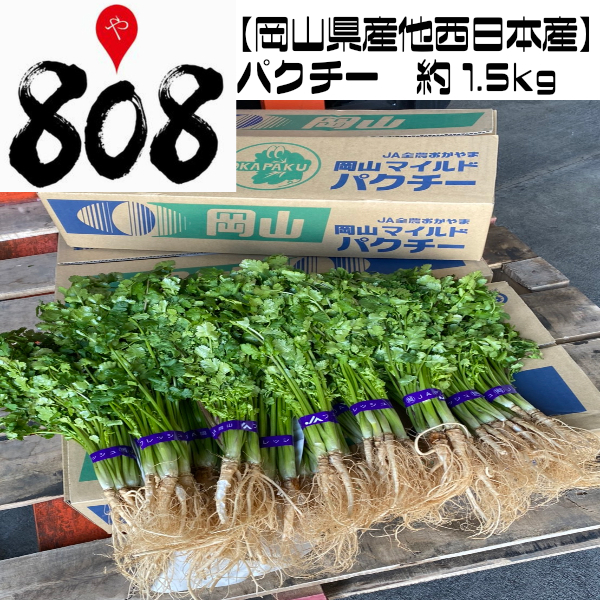 楽天市場 クール便送料無料 岡山県産他西日本産 パクチー コリアンダー 香菜 約1 5kg 北海道 沖縄離島別途送料加算 お歳暮 歳暮 中元 お中元 ぱくちー 野菜 葉物野菜 正月 敬老の日 野菜 葉物野菜 父の日 母の日 栄養 効能 薬草 ビタミンc 808青果店