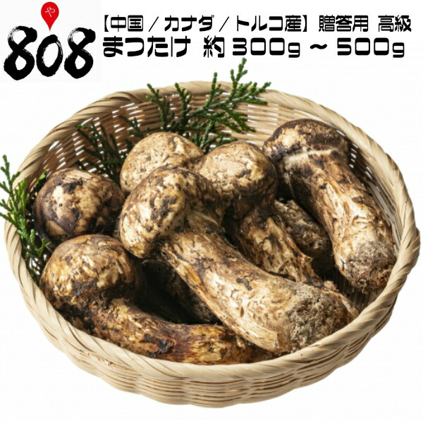 楽天市場 クール便送料無料 中国 カナダ トルコ産 贈答用 高級 松茸 約300g 500g 北海道沖縄別途送料加算 まつたけ マツタケ お吸い物 きのこ キノコ 中元 ギフト 贈答 のし ラッピング 景品 敬老の日 冬の味覚 お歳暮 歳暮 期間限定 敬老の日 808青果店