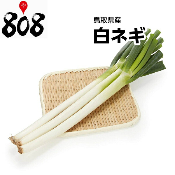 市場 送料別 野菜詰め合わせセットと同梱で送料無料 約400g 白ネギ 鳥取県産 1束