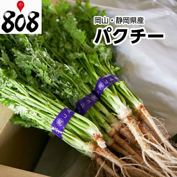 期間限定　パクチー　香菜　新鮮野菜　業務用　大量　卸し　旬野菜　6kg パクチー 香菜 100g 1束 新鮮野菜 : おいしい食品館 - 通販