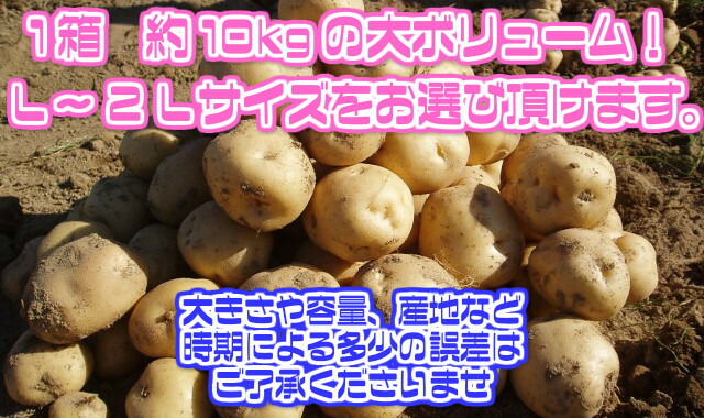 激安大特価！ 男爵芋 Ｌ〜2Ｌサイズ 1箱 約10kg 北海道沖縄別途送料加算 qdtek.vn