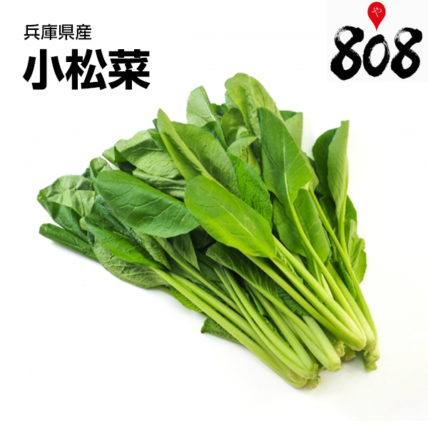 楽天市場 兵庫県産 小松菜 1束 約0g 野菜詰め合わせセットと同梱で送料無料 送料別 敬老の日 小松菜スープ 小松菜の卵とじ 小松菜 の煮浸し 小松菜とツナのあえもの 小松菜ナムル 栄養 効能 スムージー 808青果店