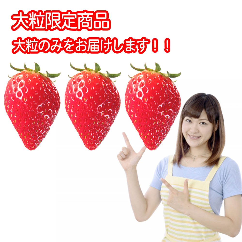 正規激安 楽天市場 クール便送料無料 西日本産 旬のいちごまとめ買割 5箱 約250g パック 北海道沖縄別途送料加算 野菜宅配 ジャム ジュース用 訳有 訳あり いちご イチゴ 苺 果物フルーツ デザート おうち時間応援 巣ごもり消費 食品ロス 母の日 ピクニック