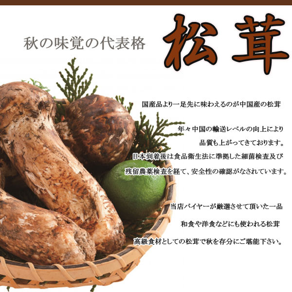 チルド便送料無料 果物 ギフト 中国産 野菜 きのこ 松茸 専用カゴ入り 国産すだち付き 大きさおまかせ 約500g 北海道沖縄別途送料加算 まつたけ 国産すだち付き マツタケ お吸い物 きのこ キノコ 残暑見舞い お中元 ギフト 贈答 のし ラッピング 景品 土瓶蒸し 808