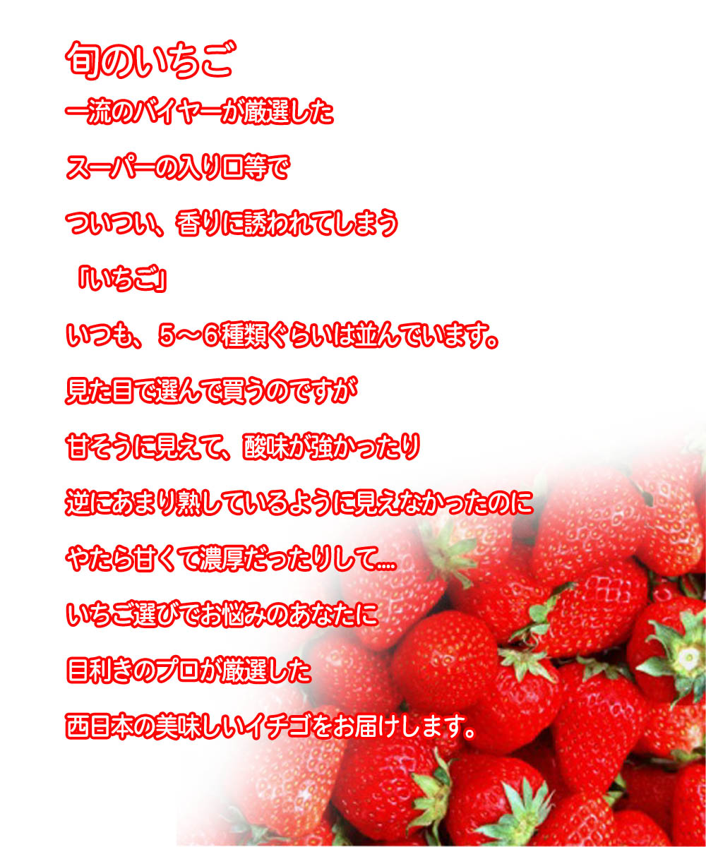 正規激安 楽天市場 クール便送料無料 西日本産 旬のいちごまとめ買割 5箱 約250g パック 北海道沖縄別途送料加算 野菜宅配 ジャム ジュース用 訳有 訳あり いちご イチゴ 苺 果物フルーツ デザート おうち時間応援 巣ごもり消費 食品ロス 母の日 ピクニック