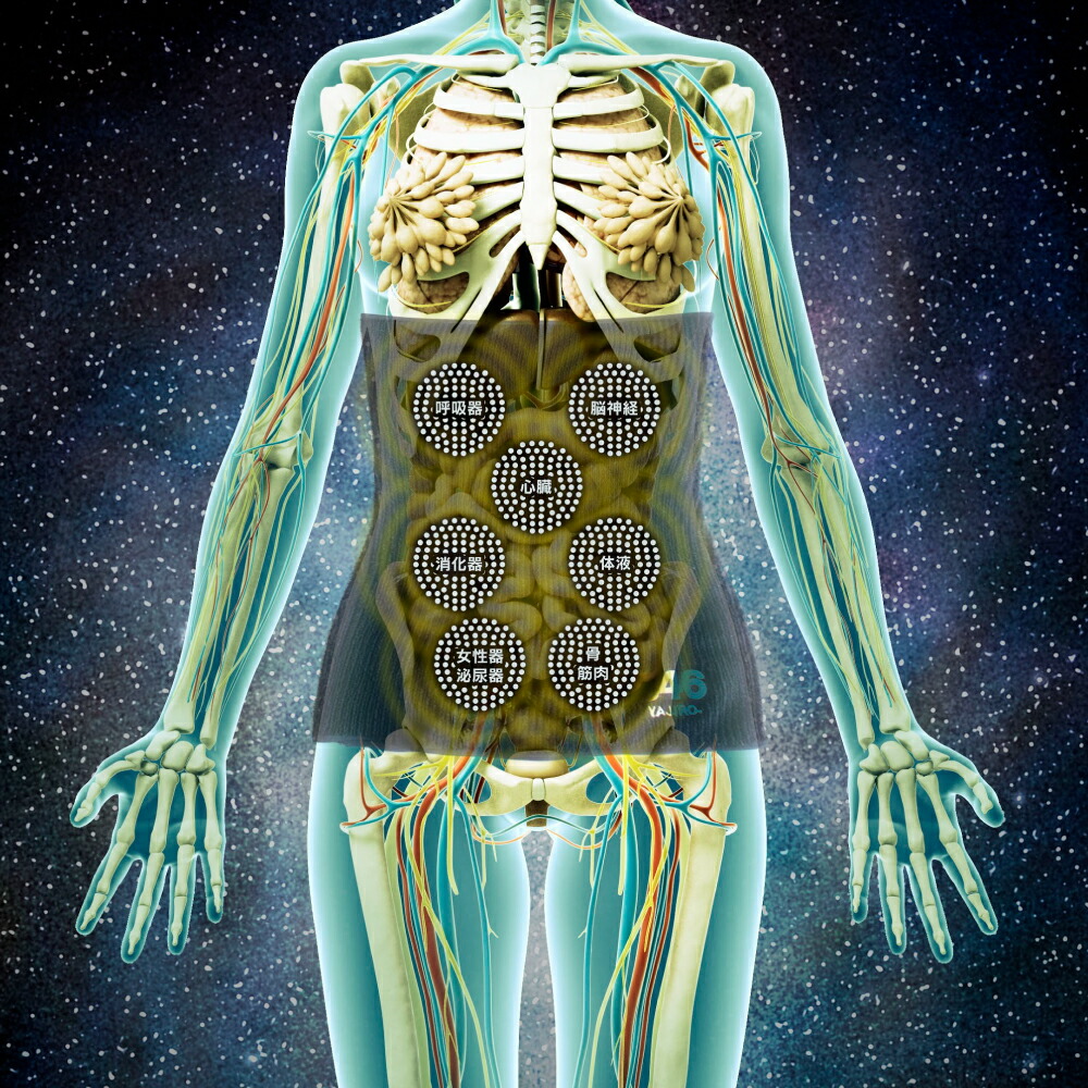 楽天市場 妊婦様多数ご愛用 846サポーター Joy Series Haramaki Beige Long ベージュ シルク腹巻 夏用 メンズ レディース ハラマキ エアコン対策 温活 妊活 はらまき 妊婦 冷え性 対策 保温 温かい 腹巻 モデル 芸能人多数愛用 腹巻き Maid In Japan Silk Haramaki