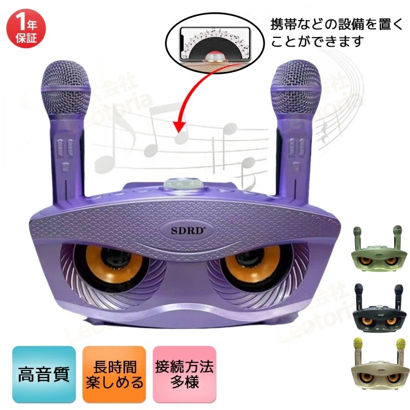 楽天市場】【レビュー特典☆】手持ちマイク カラオケセット 家庭用