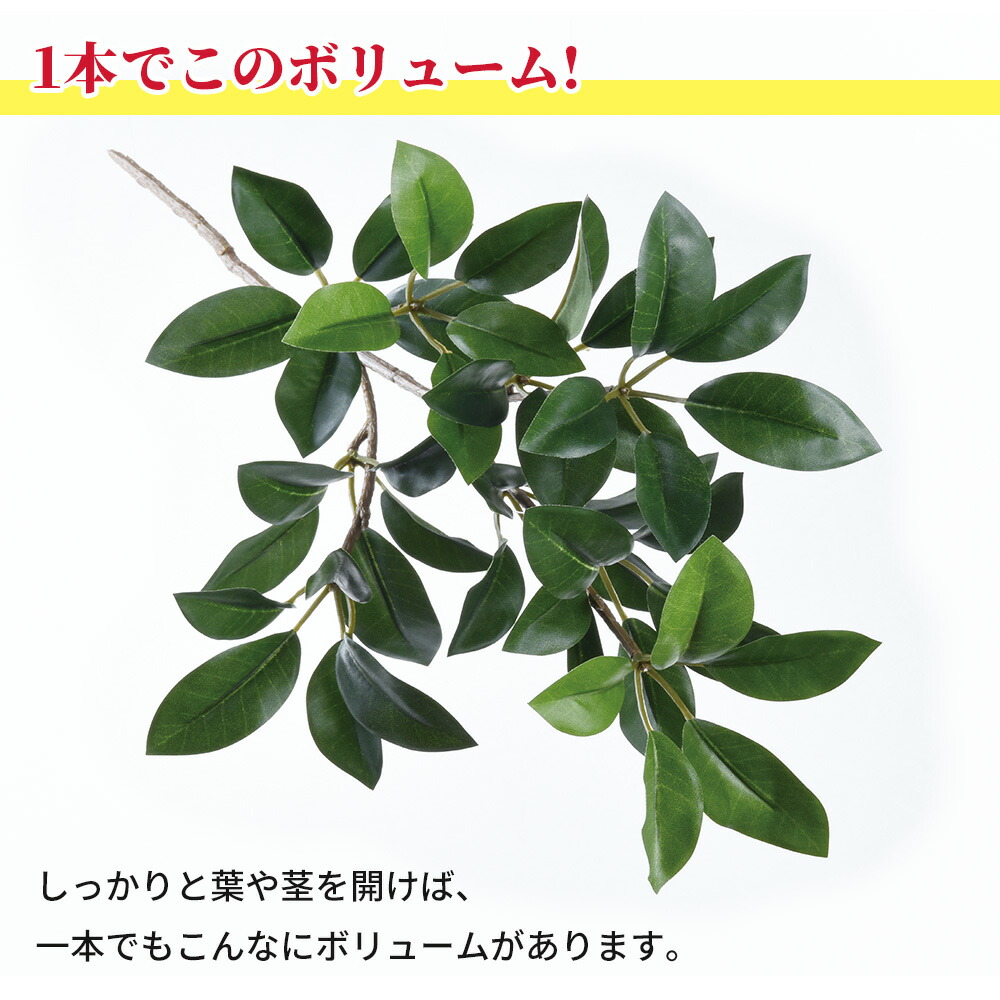 楽天市場 送料無料 造花 しきみ しきび 樒 アーティフィシャルフラワー 1本 仏事 お彼岸 お供え 花 仏花 お墓 お仏壇 お盆 法事 弔花 シキビ シキミ 花材 枯れない 腐らない お手入れ簡単 臭わない 花材 フェイクグリーン はなどき