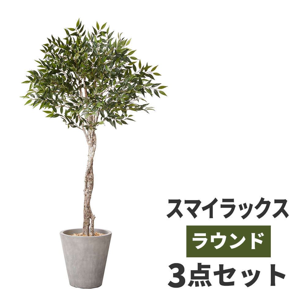 楽天市場 観葉植物 大型 スマイラックス 鉢カバー セット 高品質 アーティフィッシャルフラワー 造花 人工観葉植物 フェイクグリーン インテリア オフィス ホテル サロン 医院 飲食店 ショップ 自宅 リビング 寝室 枯れない 臭わない 水不要 衛生的 おしゃれ テレワーク