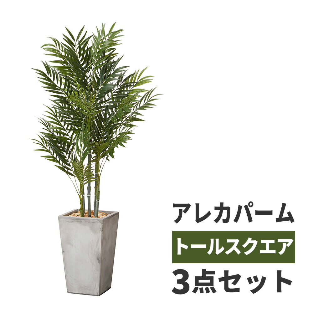 楽天市場 観葉植物 アレカパーム 鉢カバー セット 高品質 アーティフィッシャルフラワー 造花 人工観葉植物 フェイクグリーン インテリア オフィス ホテル サロン 医院 飲食店 ショップ 自宅 リビング 寝室 枯れない 臭わない 水不要 衛生的 おしゃれ テレワーク 癒し