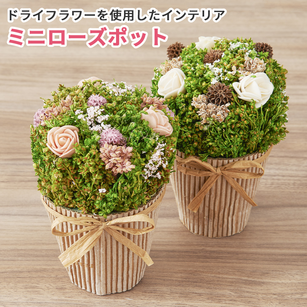 楽天市場 ドライフラワー ミニ ポット 鉢 花 そのまま飾れる花束 プレゼント ギフト セット メッセージカード付き 誕生日 実用的 お祝い お礼 詰合せ インテリア 卓上 かわいい おしゃれ はなどき