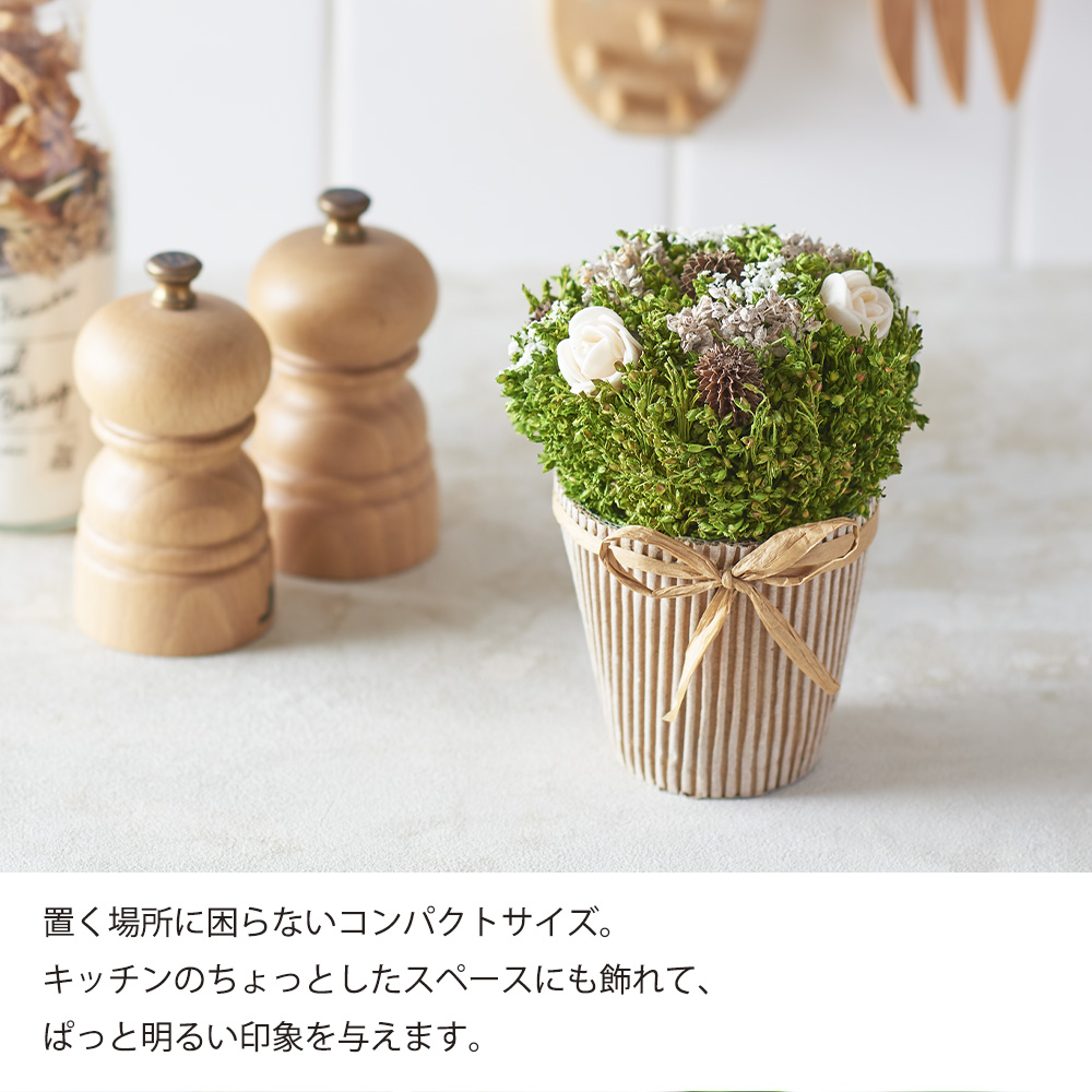 楽天市場 ドライフラワー ミニ ポット 鉢 花 そのまま飾れる花束 プレゼント ギフト セット メッセージカード付き 誕生日 実用的 お祝い お礼 詰合せ インテリア 卓上 かわいい おしゃれ はなどき