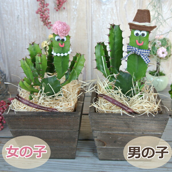 夏 敬老の日 癒しの笑顔シリーズ 木の人々 さぼてん君 さぼてんちゃん 育てやすい サボテン 多肉植物 ユーフォルビア 枯れにくい 観葉植物 おしゃれ めずらしい おもしろギフト かわいい 人形 御祝 ビックリ 楽しい 嬉しい 感謝 幸せ ありがとう 京都 Letempslev