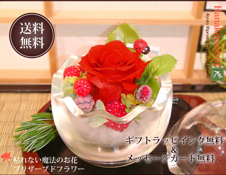 すべての美しい花の画像 これまでで最高の枯れ にくい 花