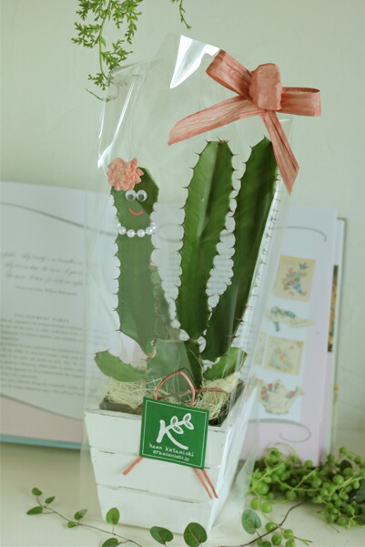 夏 敬老の日 癒しの笑顔シリーズ 木の人々 さぼてん君 さぼてんちゃん 育てやすい サボテン 多肉植物 ユーフォルビア 枯れにくい 観葉植物 おしゃれ めずらしい おもしろギフト かわいい 人形 御祝 ビックリ 楽しい 嬉しい 感謝 幸せ ありがとう 京都 Letempslev